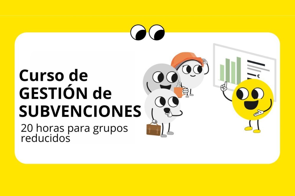 curso de gestion de subvenciones