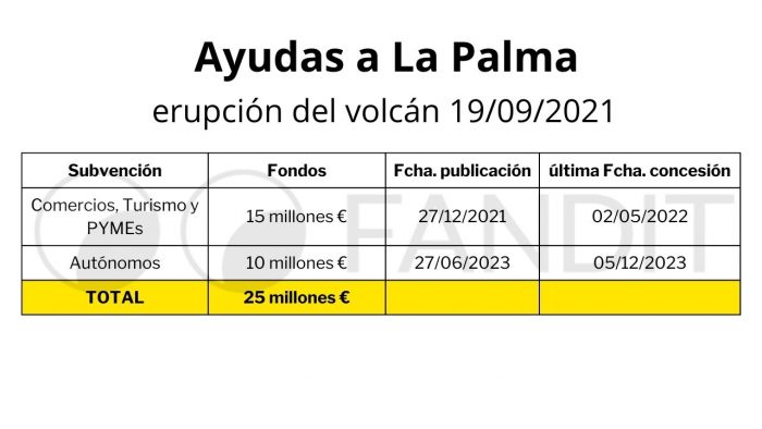 Diploma curso de Gestion de Subvenciones de FANDIT 11